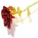 41lslowh7fL.webp