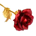 51fhIBi+03L._SL1010_.webp