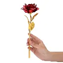51qgFHfFTgL._SL1010_.webp